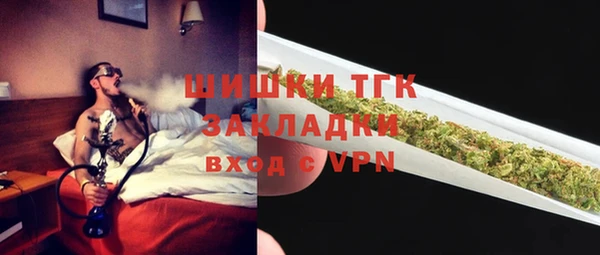 гашик Горняк