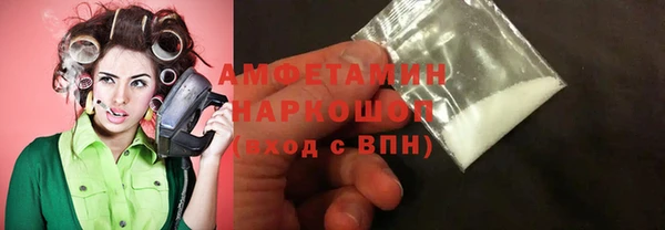 гашик Горняк