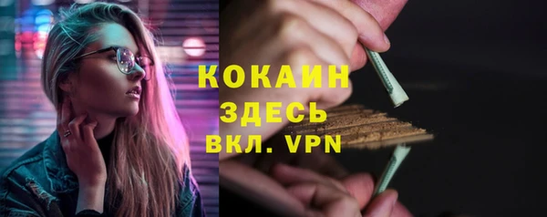 гашик Горняк