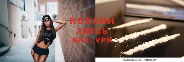 мдпв Верея