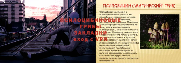 крисы Вяземский