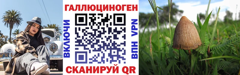 блэк спрут вход  Донецк  Псилоцибиновые грибы Magic Shrooms 